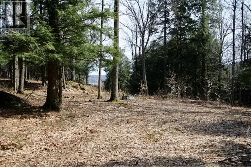 6 - 22 Gryffin Bluffs Lane, Huntsville (Brunel)
